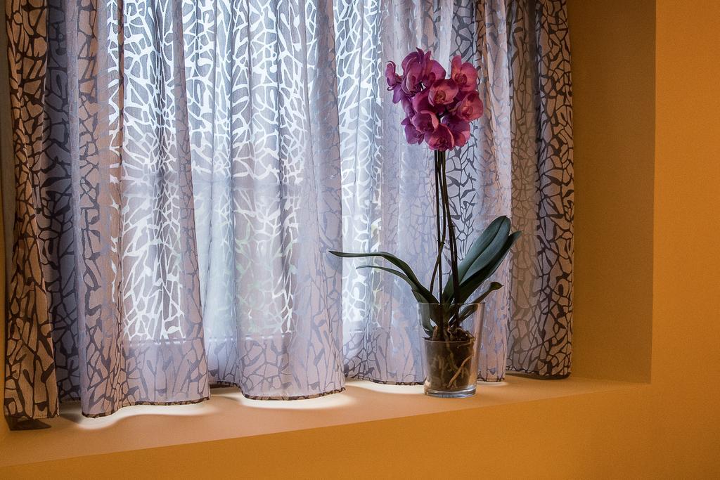 Amalur Etxea Guest House Echauri Eksteriør bilde